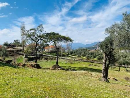 Freistehendes Feld Zu Verkaufen In Ortaca Gökbel