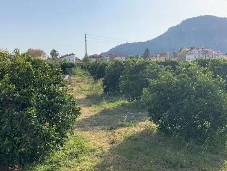 830 M2 Grundstück Zum Verkauf Schnäppchen In Dalyan