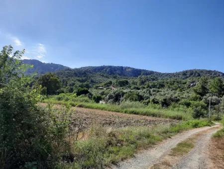 Oriya Fevziye Land Zum Verkauf In Null-Straße