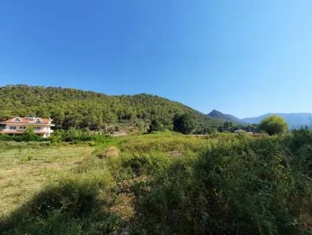 Weinberg Garten Zoning Land Zu Verkaufen In Gocek Inlice