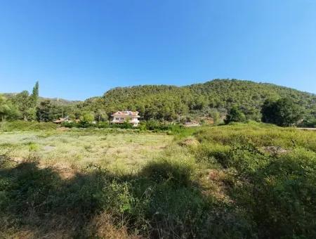 Weinberg Garten Zoning Land Zu Verkaufen In Gocek Inlice