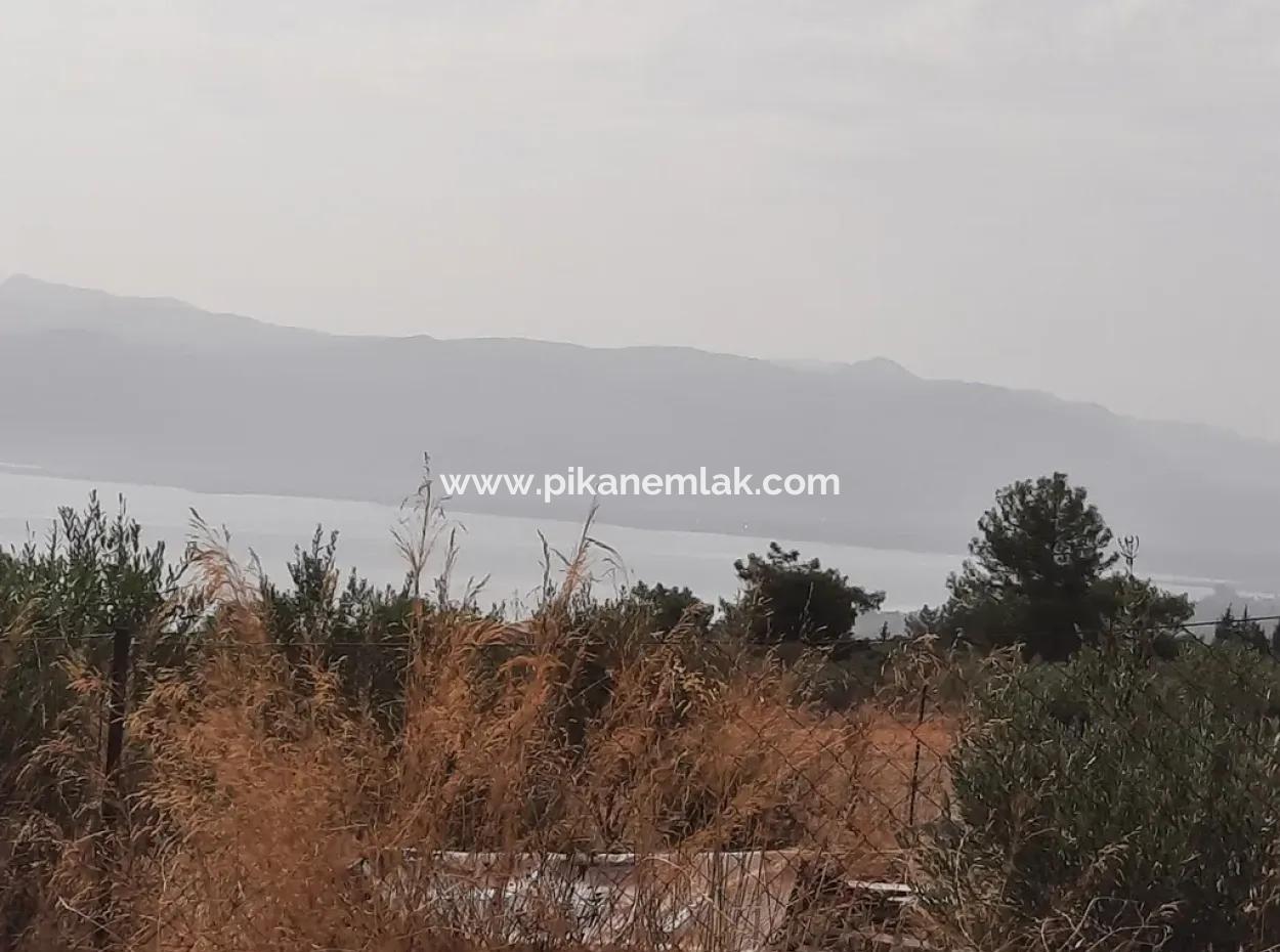 Detached Land With Lake Views For Sale In Köyceeğiz Zeytin Area