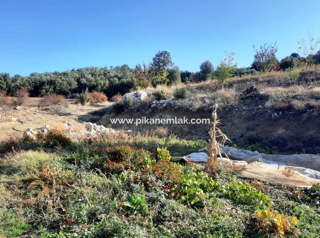 Denizli Çameli Kizilyaka Butterfly Land And Village House With Dog View For Sale