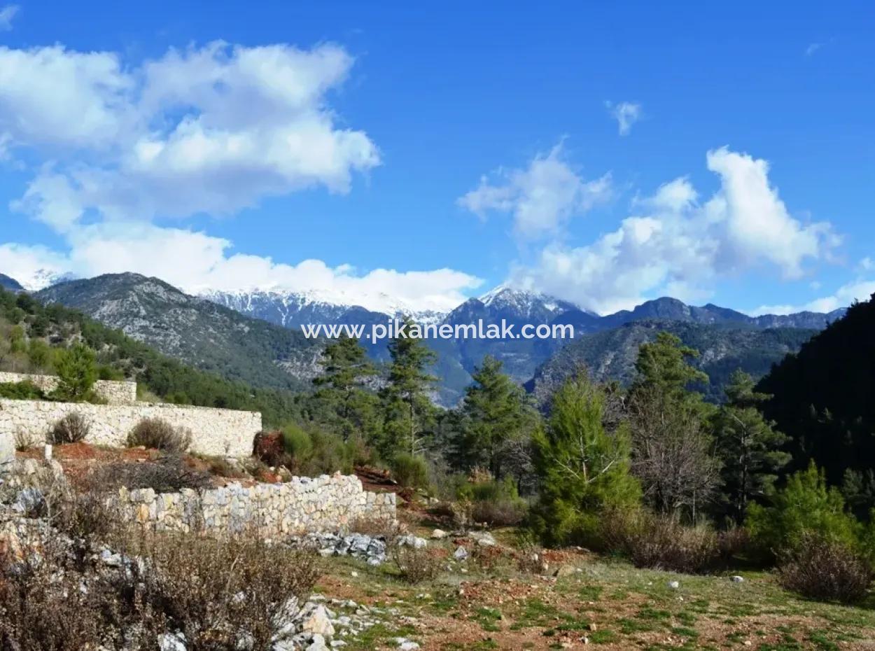 Zoning Land For Sale In Fethiye Grapes Kizilbel