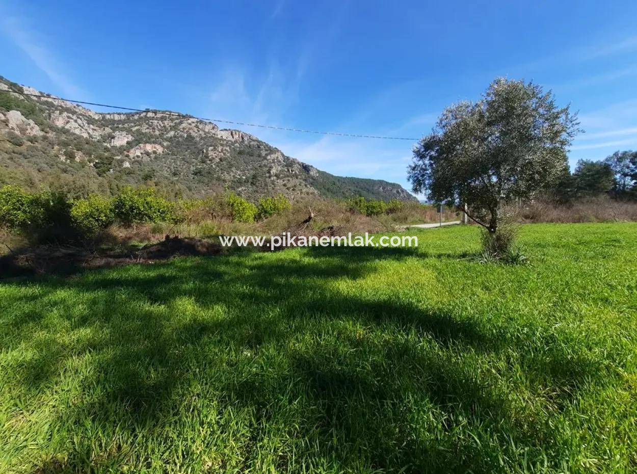 Mergenli For Sale In Ortaca Mountain Zero-Investment A Bargain Suitable Land