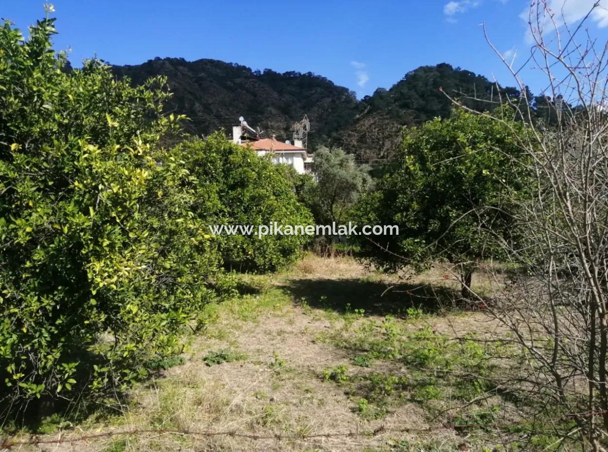 3 Plots Of Land For Sale In The Center Of Ortaca, Facing The Dalaman-Fethiye Road