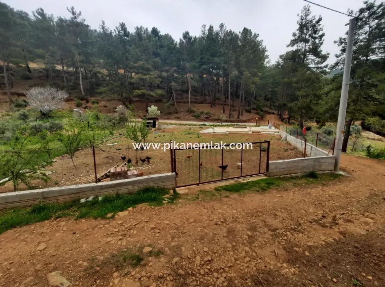 Köyceğinz Agla Yayla Opportunity 1050 M2 Zoning Land For Sale