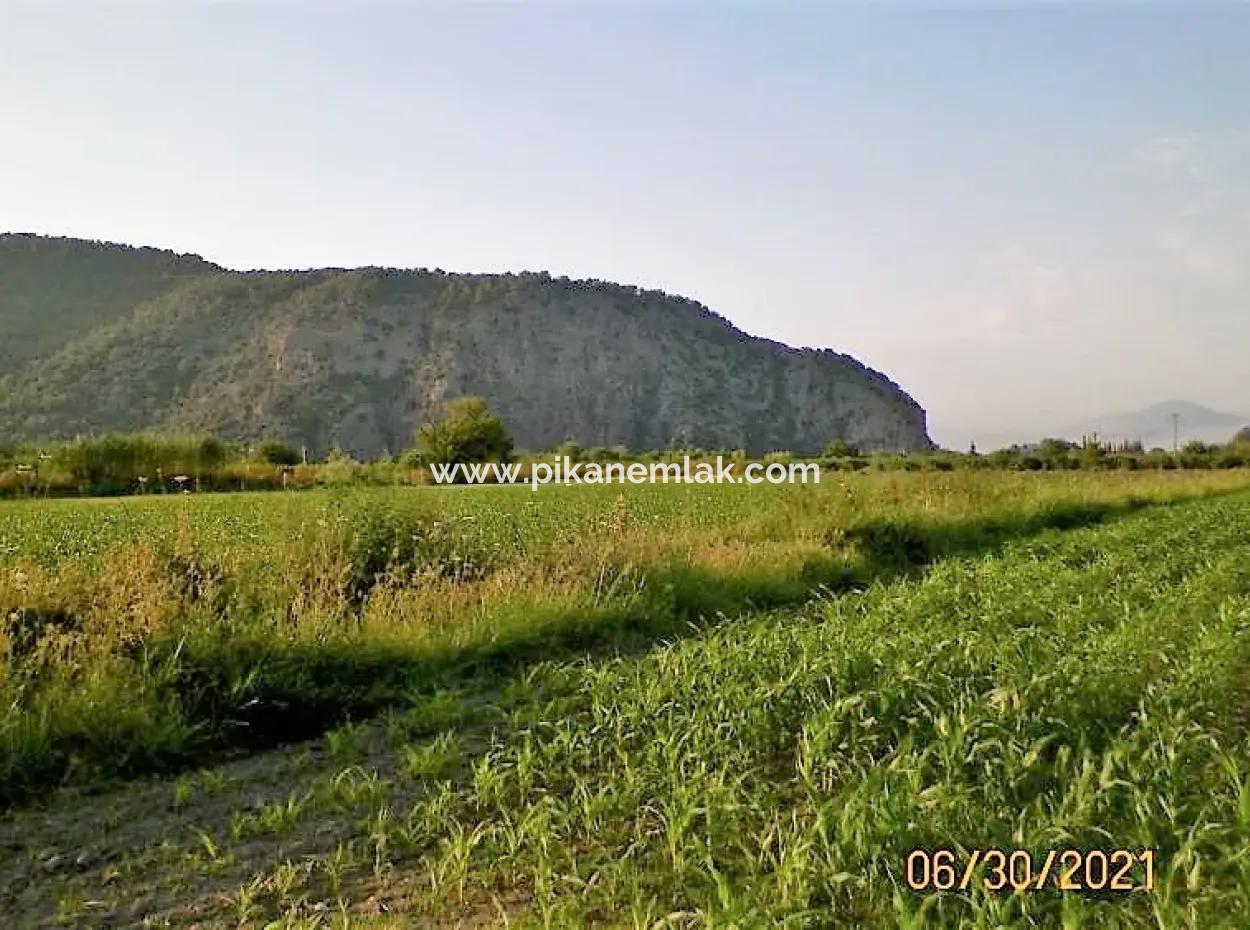 10 000 M2 Fertile Land For Sale In Mugla Ortaca Mergenli