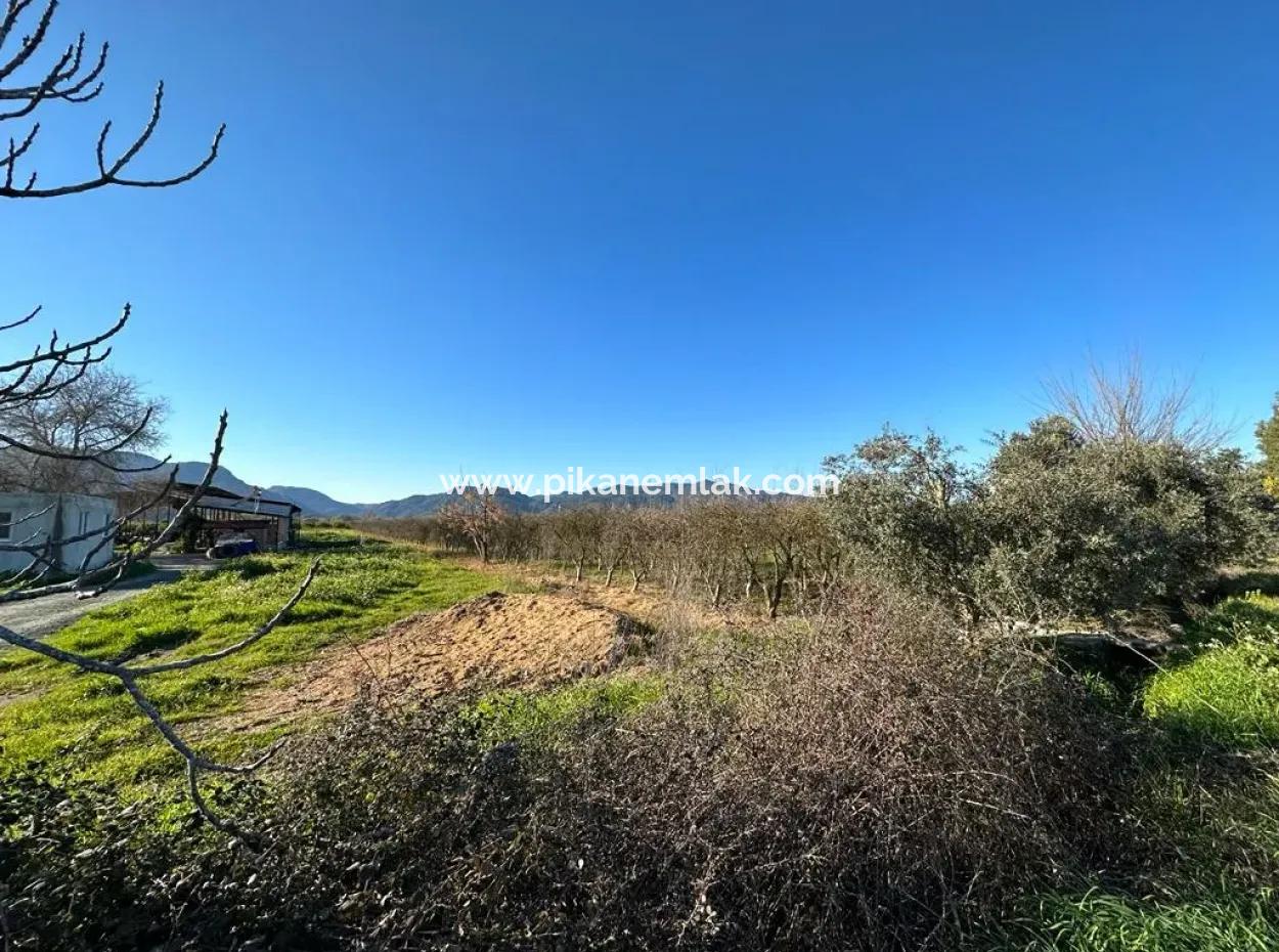 4 378 M2 Detached Bargain Field With Title Deed For Sale In Ortaca Fevziye