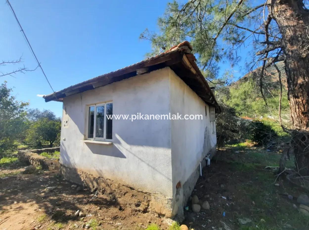 Köyceğiz Toparlarda 4 200 M2 Land Single Storey Detached House For Sale