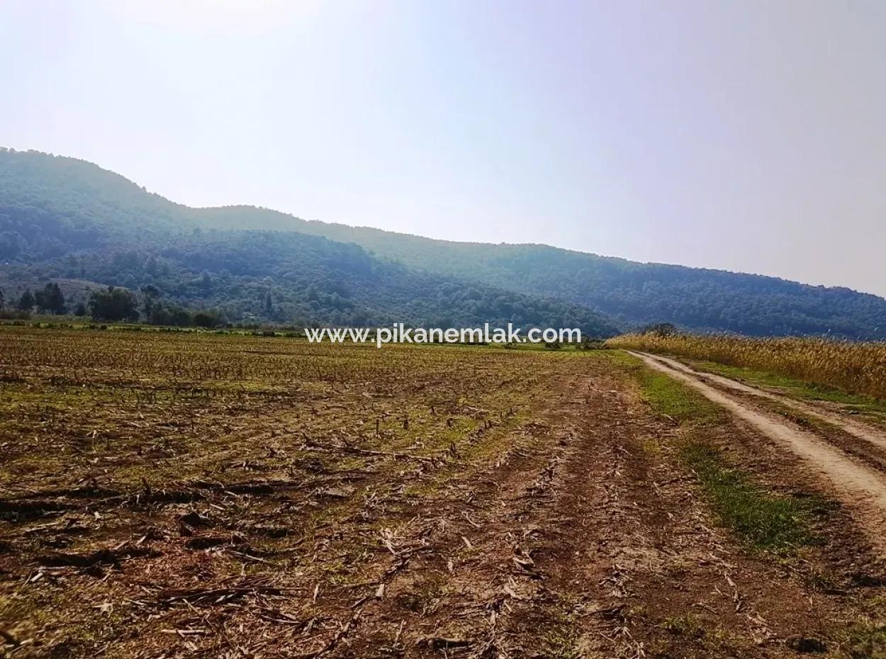 Region Of Fertile Land Rental