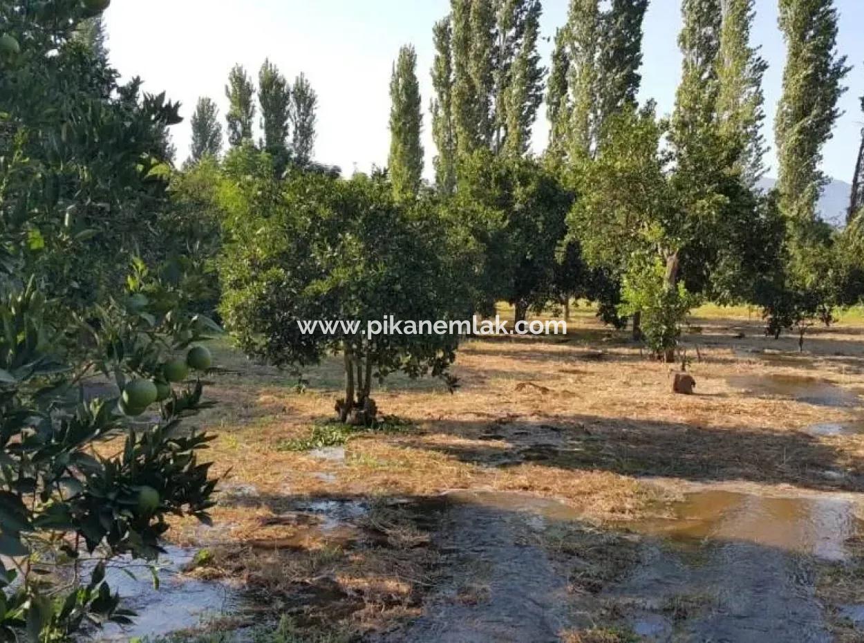 Garden For Sale In Köyceğiz Village