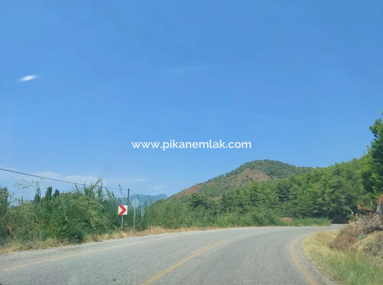 Muğla Ortaca Ekşiliyurtta Roadfront 7.000 M2 Lemon Garden For Sale