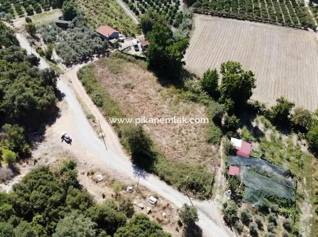 3073 M2 Field For Rent In Dalyan Marmarlı