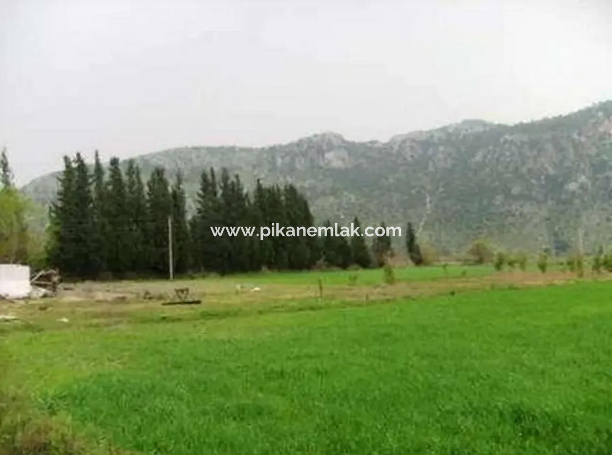 Archers Are Also For Sale, Fertile Land Suitable For Investment