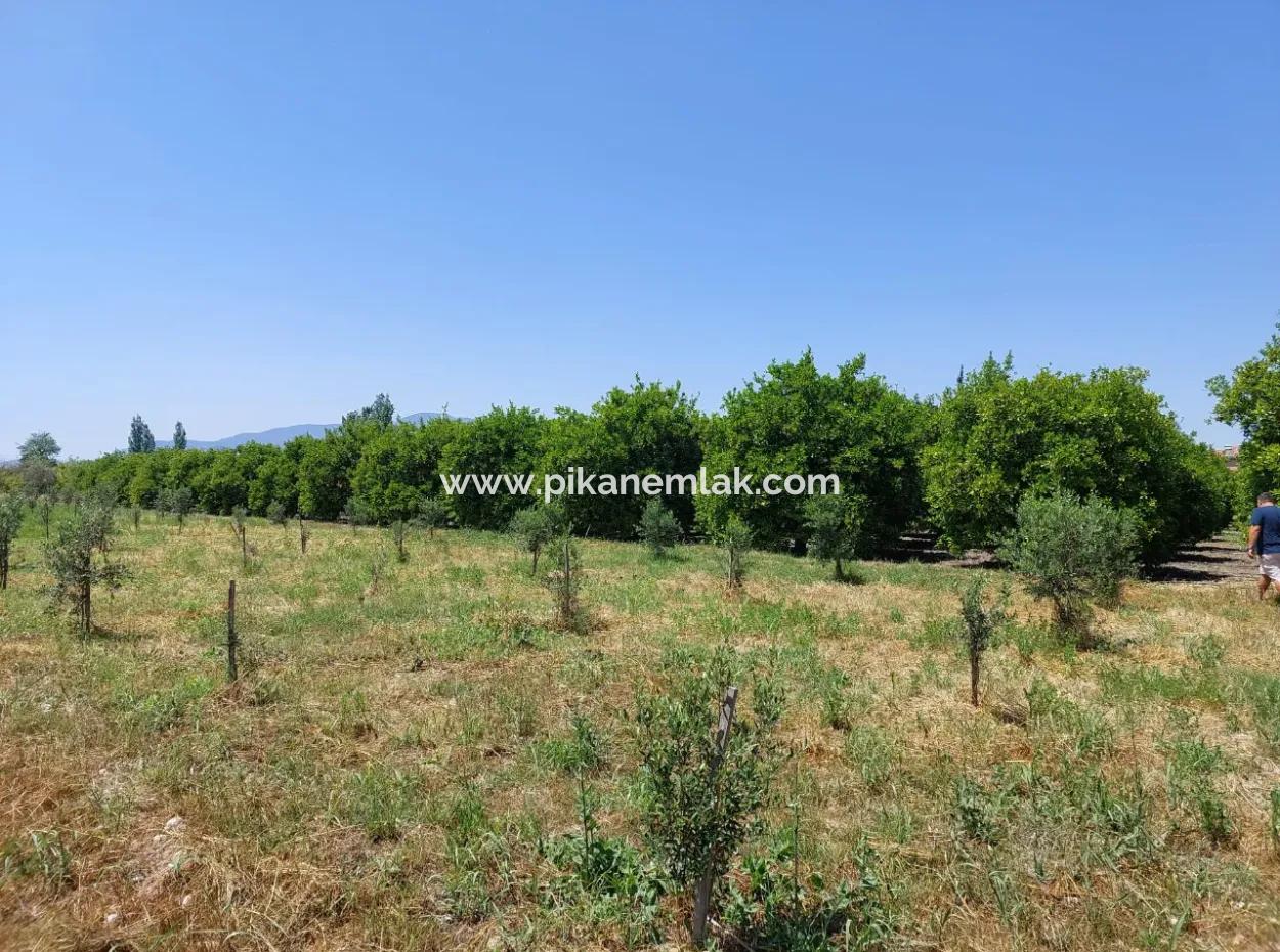 550M2 Share Land For Sale In The Built-Up Area Of The Village In Ortaca Kemaliye