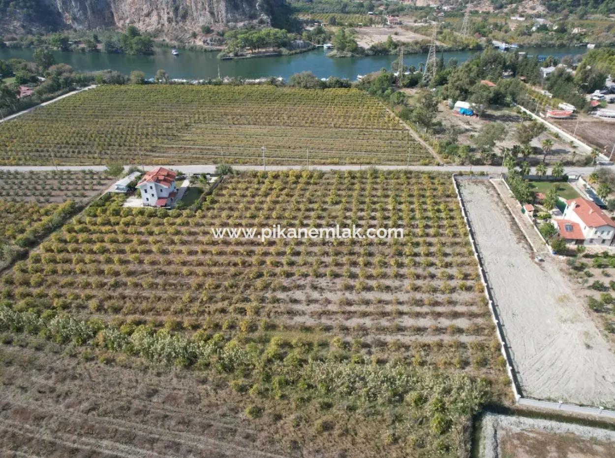 Muğla Dalyanda Canal 2Nd Parcel Detached 5.000 M2, 250 M2 Land With Construction Right For Sale