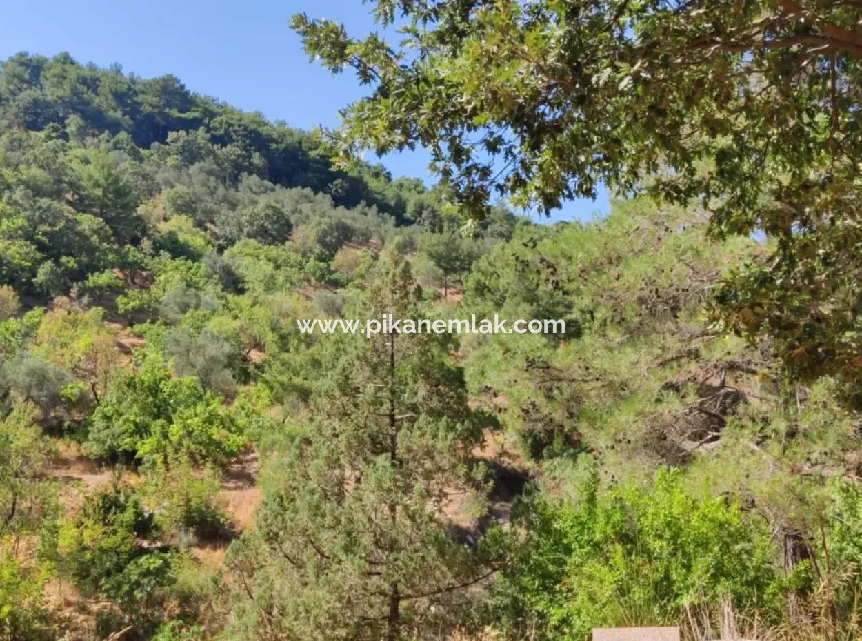 Çanakkale Ayvacık Adatepe 325 M2 Land 1 1 Tiny Detached Land For Sale