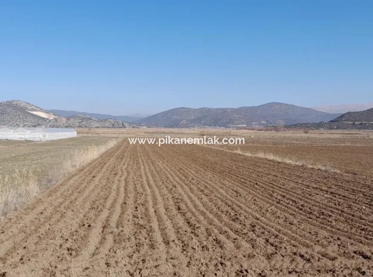 6 600 M2 Detached Land With Lake View For Sale In Burdur Gölhisar Kargalı Village