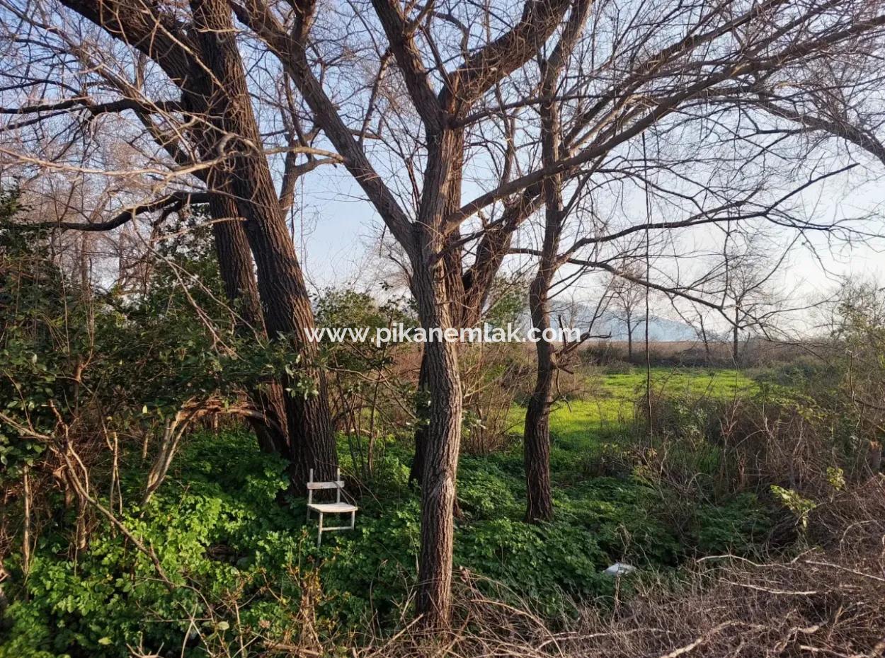 2585 M2 Detached Land Close To The Lake In Köyceğiz Çandırda For Sale