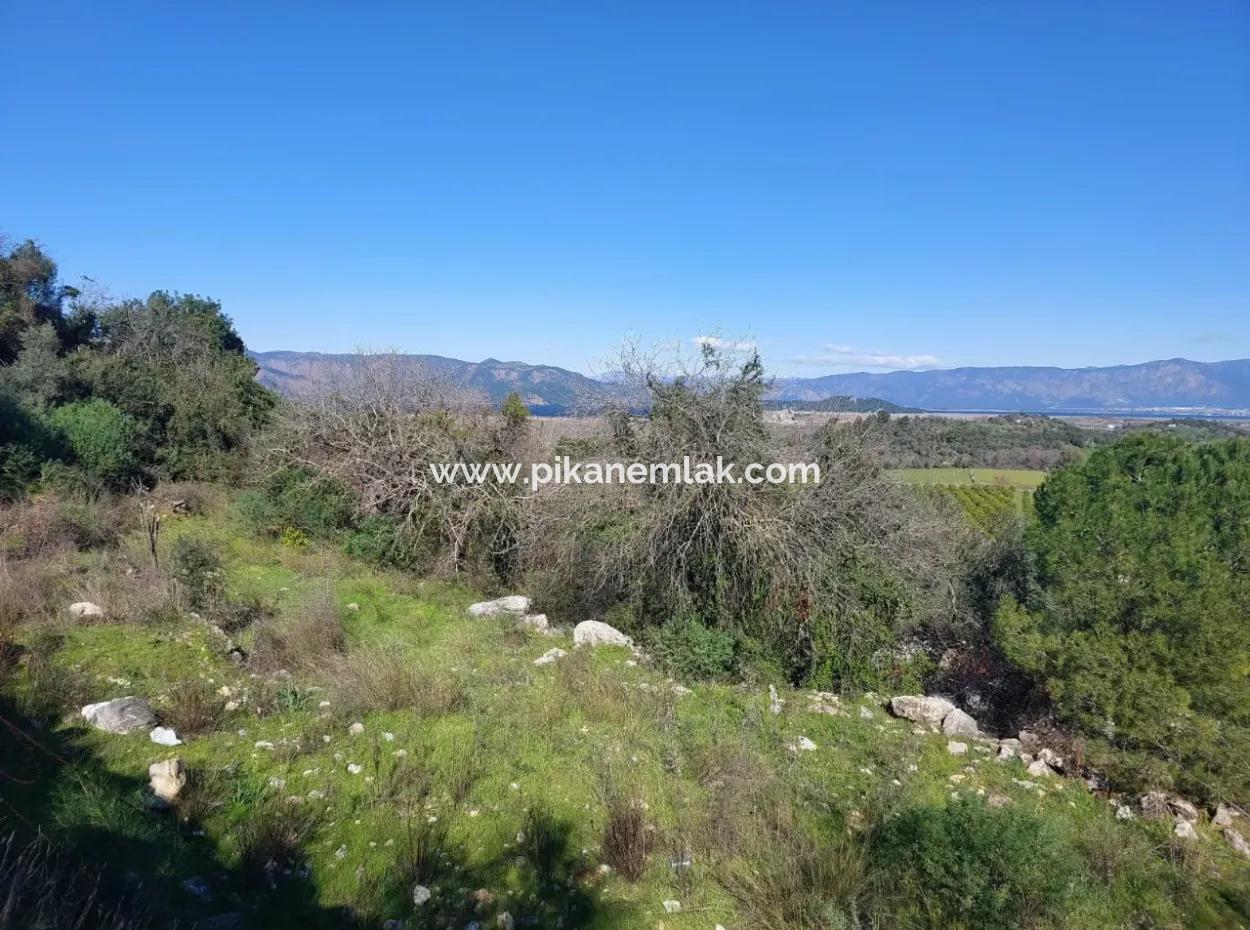 1.000M2 Detached Land With Köyceğiz Lake View For Sale In Dalyan