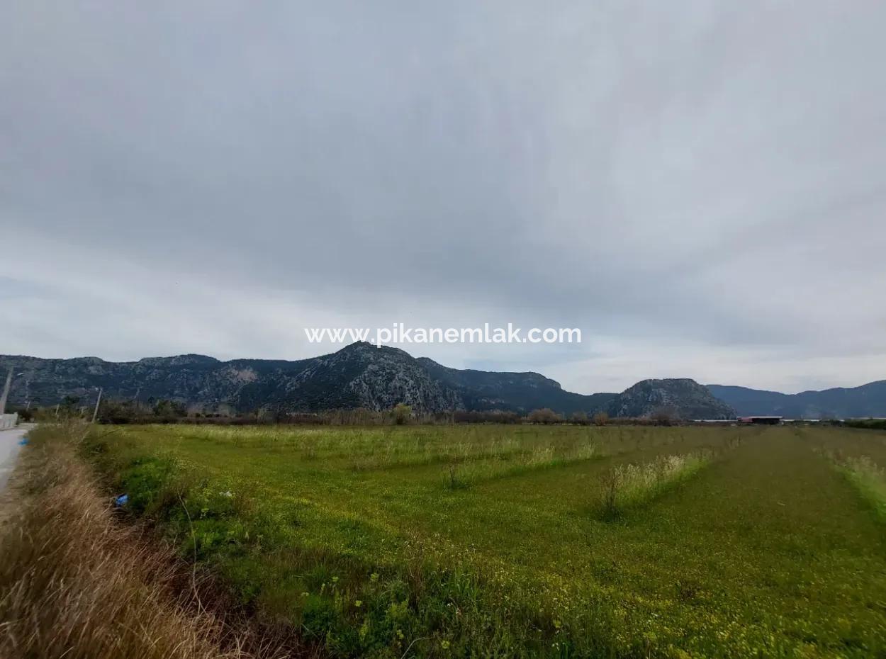 5094 M2, 250 M2 Pomegranate Garden Suitable For Investment With Construction Permit For Sale In Dalyan.