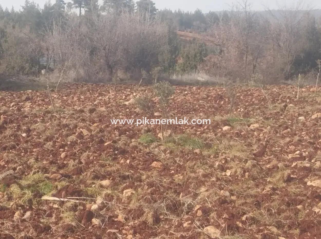 3.030 M2 Detached Land With Title Deed For Sale In Denizli Beyağaç Cumhuriyet