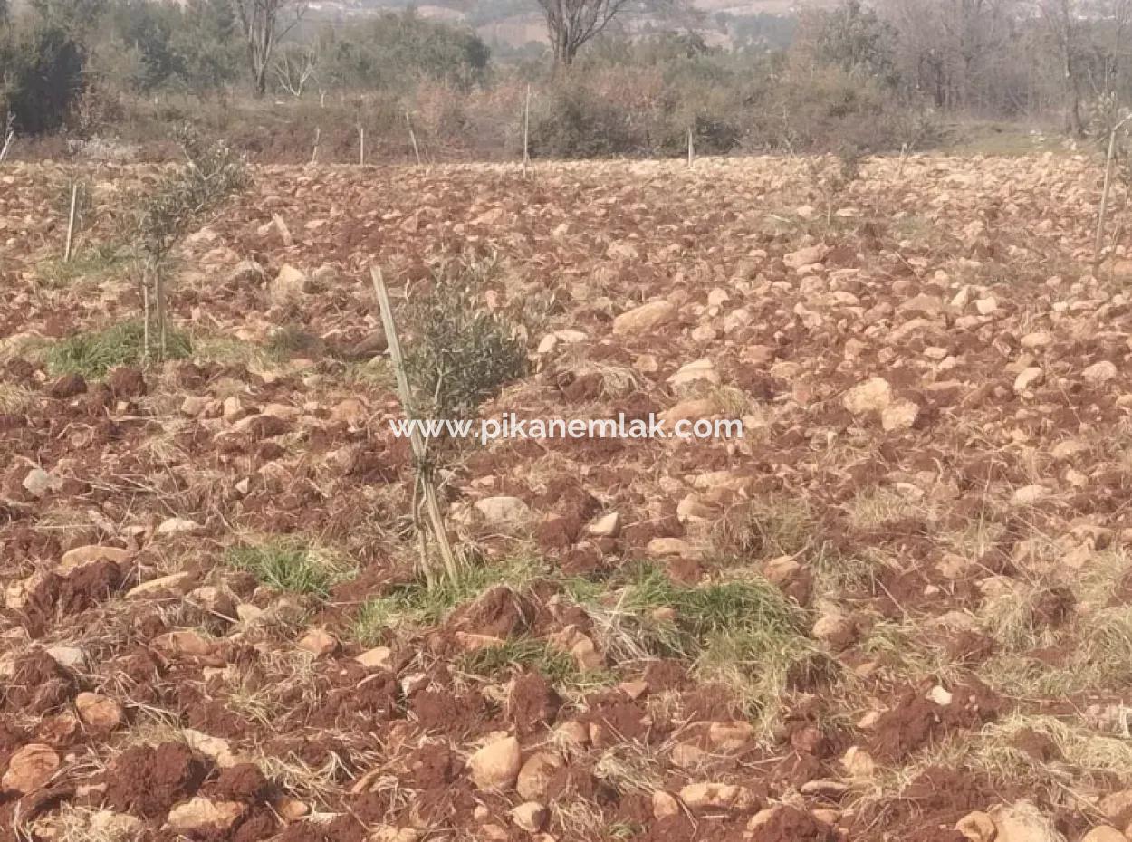 3.030 M2 Detached Land With Title Deed For Sale In Denizli Beyağaç Cumhuriyet