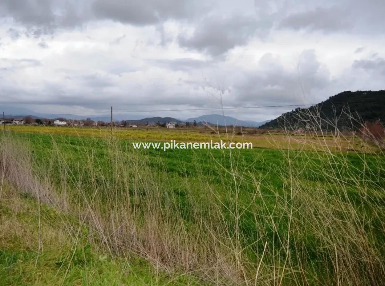 Land For Sale In Sarigerme Oriya Güzelyurt On The Path To Zero