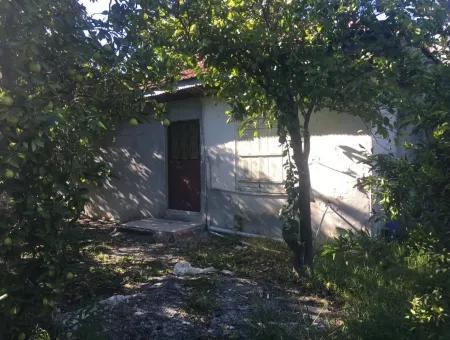 Land And Old Village House For Sale In Köyceeğiz Fire