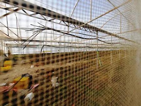 Denizli Çameli Yumrutaş Detached 4 000 M2 Greenhouse For Sale