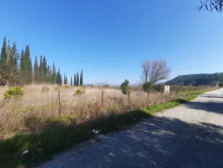 Mugla Ortaca Güzelyurt Sarıgerme Road Facing 2256 M2 Field For Sale