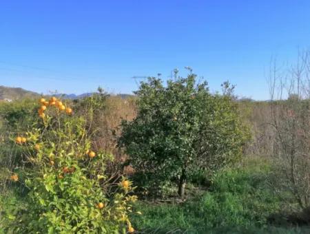 795 M2 30% Zoning Land For Sale In Ortaca Yerbelen