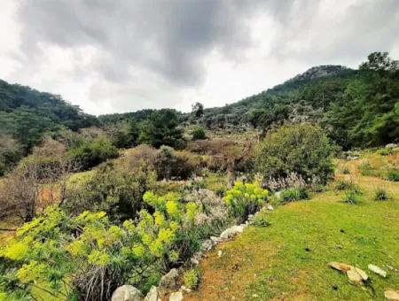 Dalyan Gökbel 13,100 M2 Field For Sale In Nature