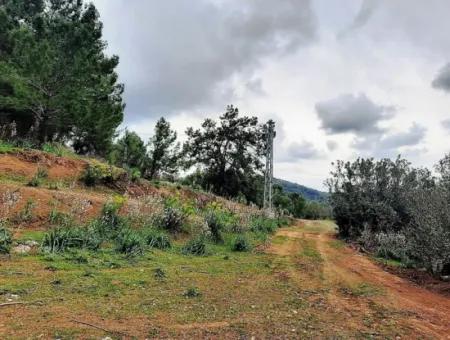 Dalyan Gökbel 13,100 M2 Field For Sale In Nature