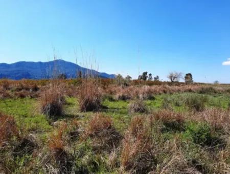 4830 M2 Land Near The Iztuzu Beach Road For Sale In Mugla Dalyan