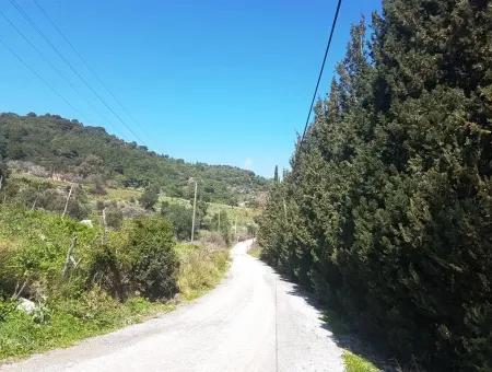 Excellent Plot For Sale Bargain, 2616 M2 Detached Parcels 6