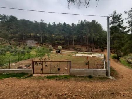 Köyceğinz Agla Yayla Opportunity 1050 M2 Zoning Land For Sale