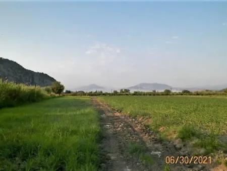 10 000 M2 Fertile Land For Sale In Mugla Ortaca Mergenli