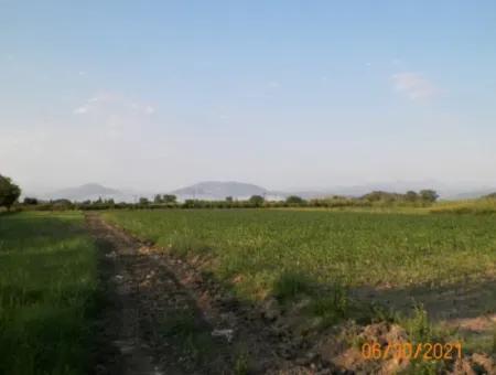 10 000 M2 Fertile Land For Sale In Mugla Ortaca Mergenli