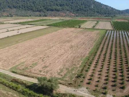 For Sale Land Guzelyurt Ta Oriya, Bargain 9726 M2