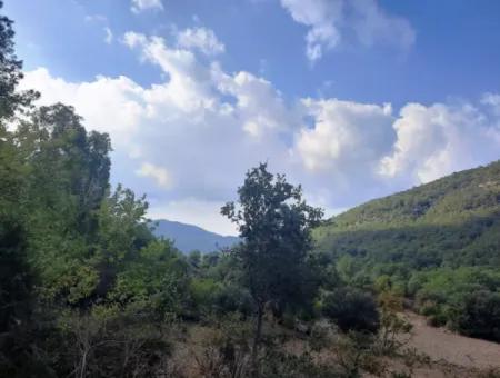 Mugla Dalyan Gökbel 320 M2 Bargain Land For Sale