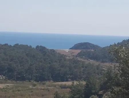 Plot With Sea Views For Sale Bargain Ortaca Sarıgerme