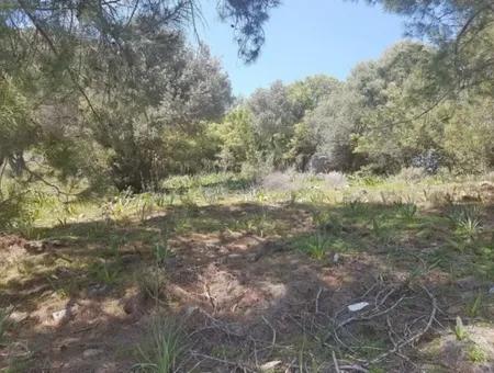 Plot With Sea Views For Sale Bargain Ortaca Sarıgerme