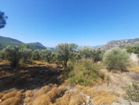 Muğla Gökbelde Lake And Sea View 6 000M2 Land For Sale