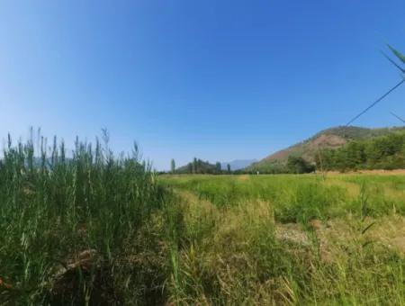 16.373 M2 Fertile Land For Sale In Muğla Ortaca Ekşiliyurt