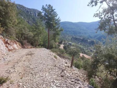 1 300 M2 63 M2 Zoned Land For Sale In Gocek Gökçeovacik