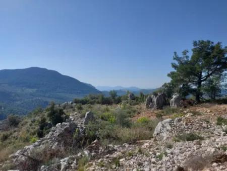 1 300 M2 63 M2 Zoned Land For Sale In Gocek Gökçeovacik