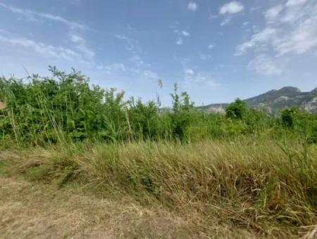 1.500 M2 Detached Field For Sale In Dalyan