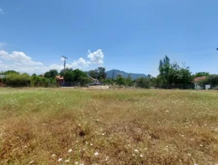 Köyceğiz Çandırda Detached Title Deed 33.800 M2 Field For Sale